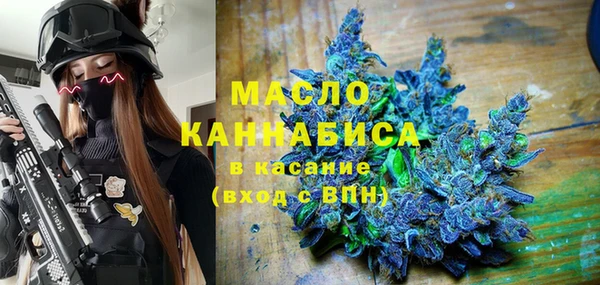 стаф Алексин