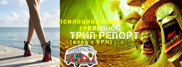 стаф Алексин
