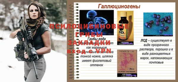 героин Алзамай