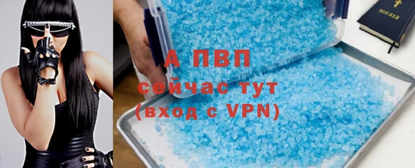 стаф Алексин