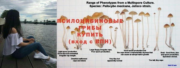 jwh Протвино