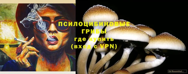 стаф Алексин