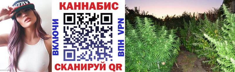 Бошки марихуана THC 21%  MEGA tor  Байкальск  наркотики 